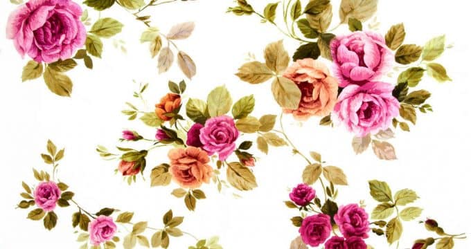 fleurs dans maison ou peut être sur le mur  inspirations